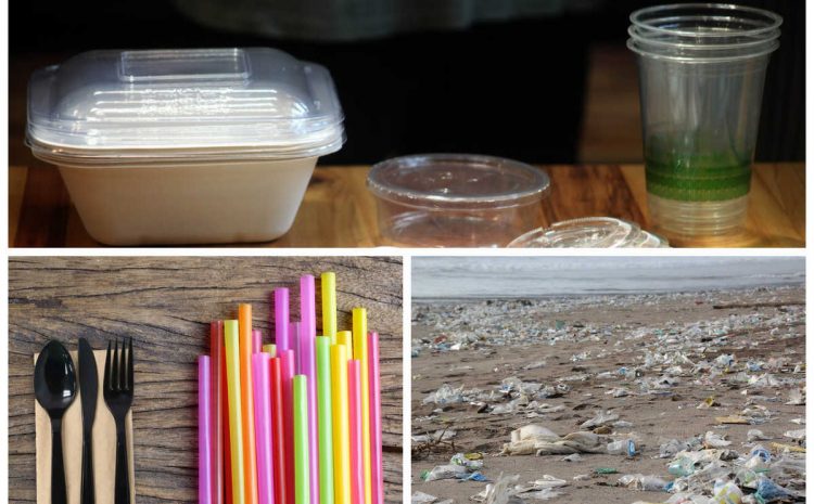  Adiós a los envases y cubiertos desechables en locales de comida: ¿Qué pasará con los deliverys?