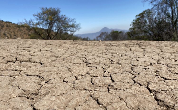  Alcaldes piden declarar zona de catástrofe en cinco regiones por sequía