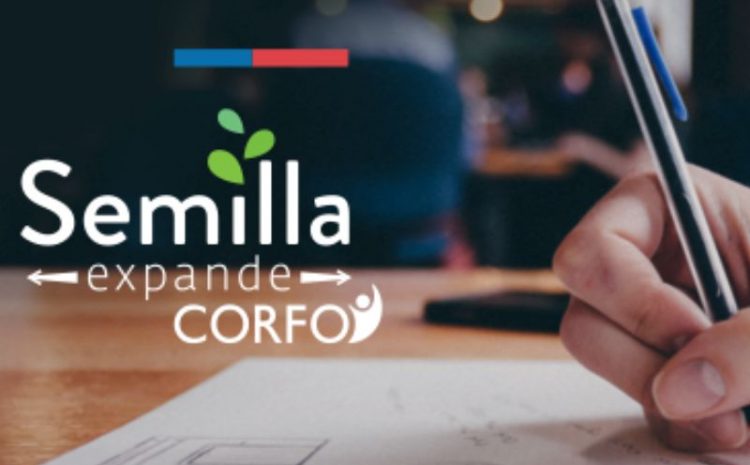  CORFO abre nueva convocatoria a semilla inicia para empresas lideradas por mujeres