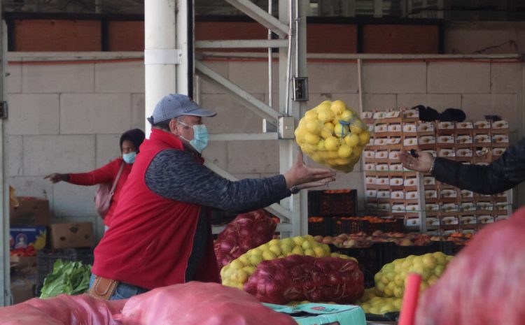  Fondo Crece: Sercotec lanza programa que beneficiará con $5 millones a emprendedores de la Región de Coquimbo