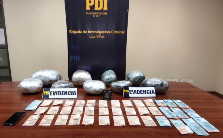  Salamanca: PDI detuvo a sujeto por robo con intimidación,estafa y trafico de droga
