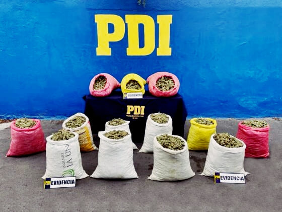  La Serena: PDI incauta más de 100 kilos de cannabis lista para comercializar