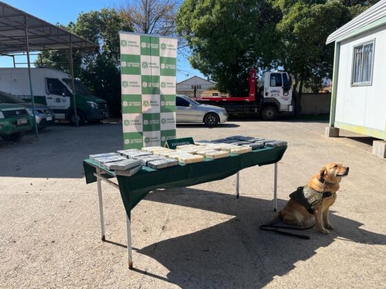 Los Vilos: 4 ciudadanas bolivianas son detenidas por tráfico de drogas