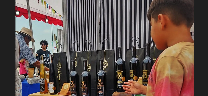  Provincia: Exitosa Expo MIPE Choapa con presencia de emprendedores regionales