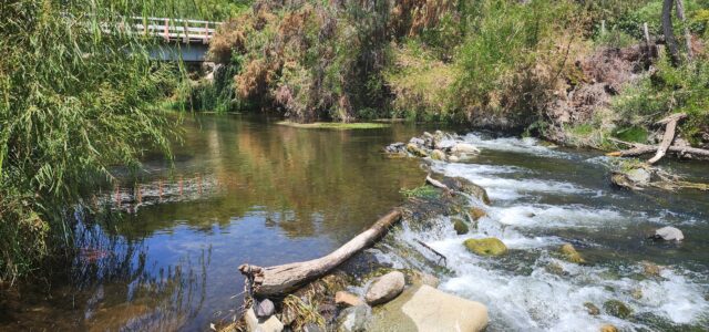 Ovalle: Inciativa impulsada por la municipalidad para reconocer humedal urbano