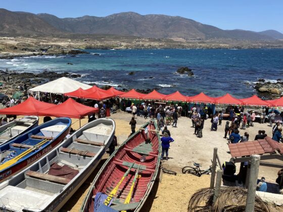  Los Vilos: «Mateada y Fritanga junto al mar» invitación de la Caleta La Cachina