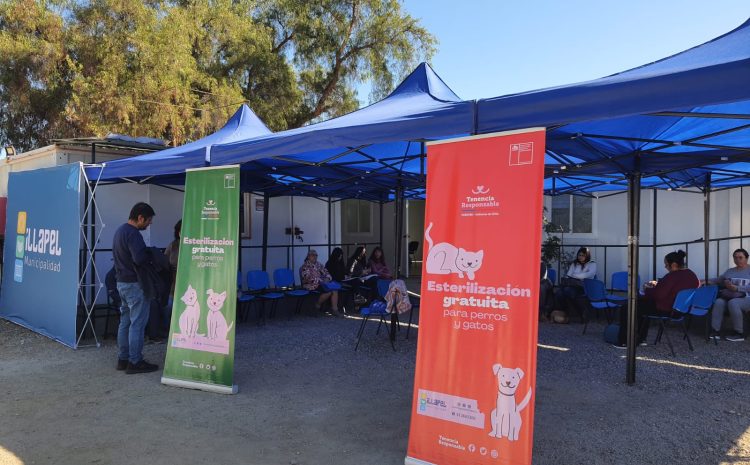 Illapel: Municipalidad firma convenio con agrupaciones animalistas para esterilizaciones de mascotas