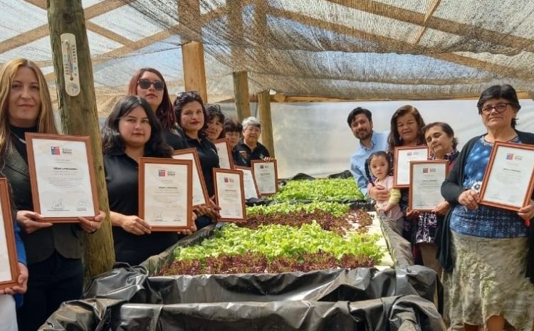 Canela: “Fue una experiencia muy bonita”: 14 usuarias de INDAP de Choapa egresan del Programa Mujeres Rurales