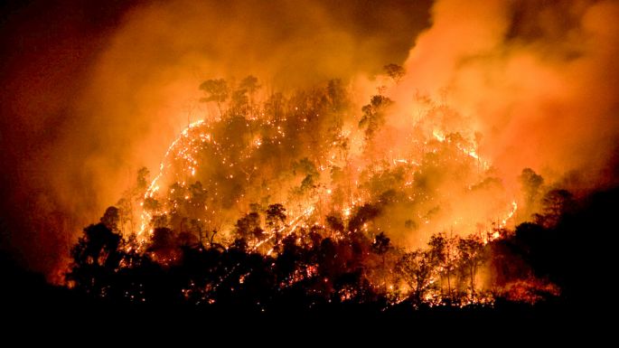 Nacional: Fiscalía declina formalizar a dos detenidos sospechosos de iniciar fuego en Viña del Mar