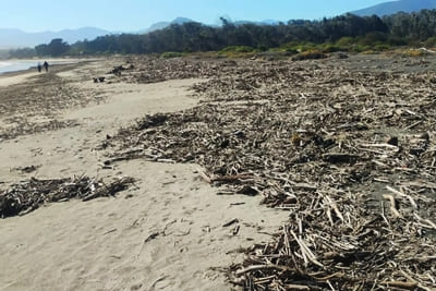  Los Vilos culmina limpieza y recuperación del borde costero de Pichidangui tras sistema frontal